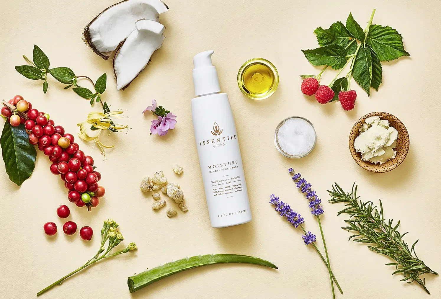 Vitamins and Minerals